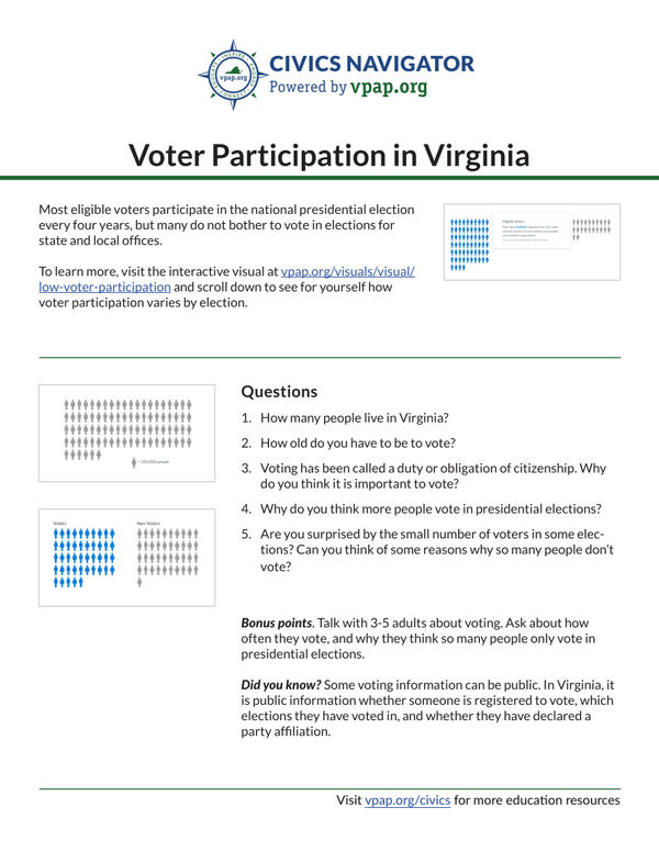 Image for Voter Participation