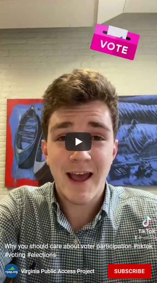 Image for Voter Participation