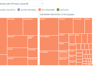 Locality Results for June 2021 Statewide Democratic Primary
