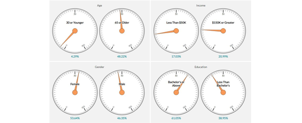 Image for Who Shows Up? Frequency of Voter Participation