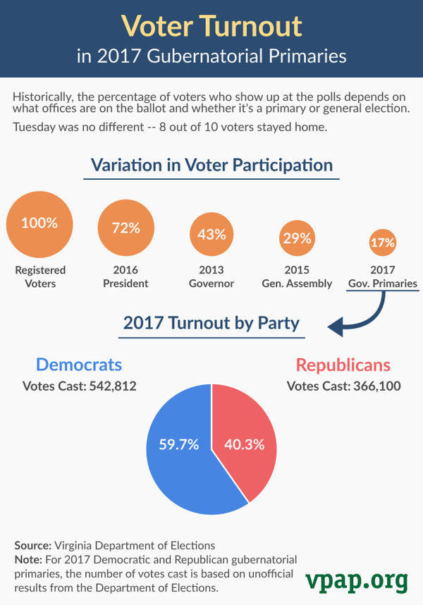 Image for Variation in Voter Participation by Election: 2017
