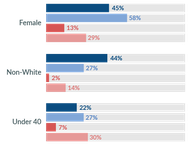 Diversity of House Candidates