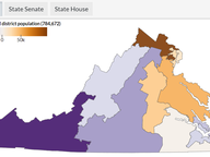 Gainers, Losers in Redistricting