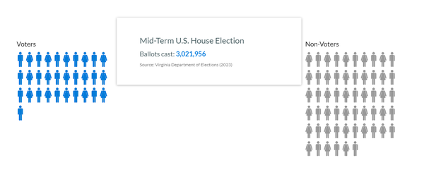 Image for Voter Participation