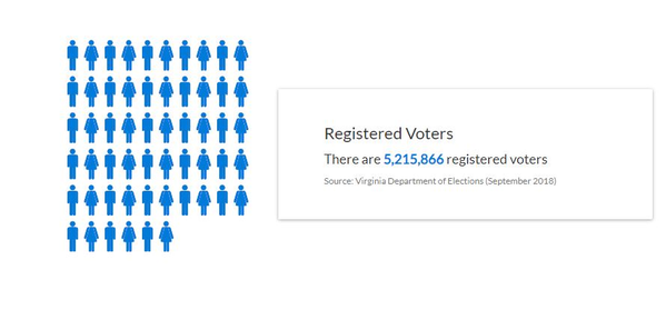 Image for Voter Participation in Virginia