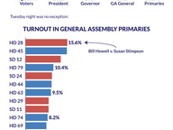 2015 Primary Turnout