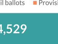 How the Post-Election Tally Works