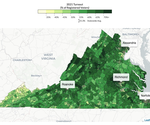 November 2021 Turnout by Precinct