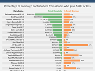 Small Donors in Congressional Races