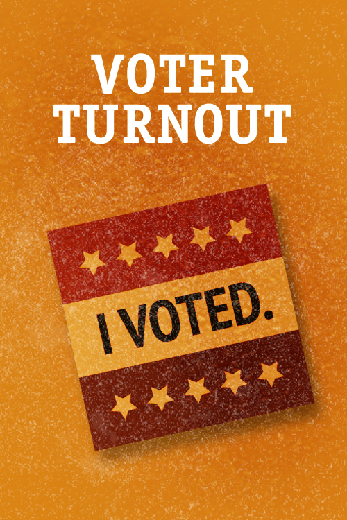 Voter Turnout